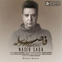 Naser Sadr Faseleh