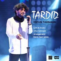 Erfan Tahmasbi Tardid