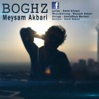 Meysam Akbari Boghz