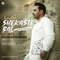 Morteza Mohammadi Shekaste Bal