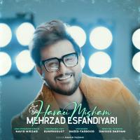 Mehrzad Esfandiyari Havaei Misham