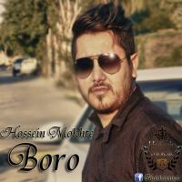 Hossein Mokhte Boro