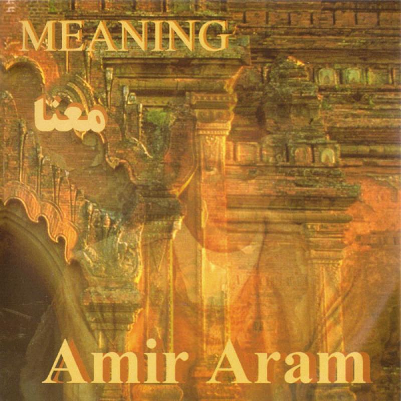 Amir Aram Negah