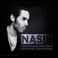 Hesamodin Mousavi Nasib