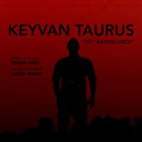 Keyvan Taurus Key Barmigardi