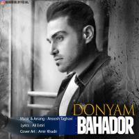 Bahador Donyam