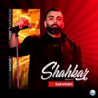 Masoud Sadeghloo Shahkar (Remix)