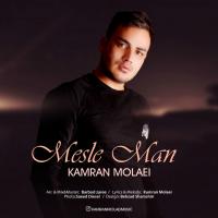 Kamran Molaei Mesle Man