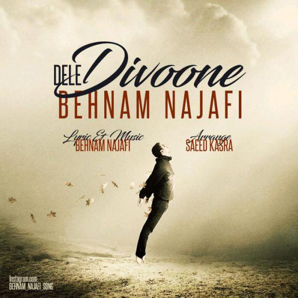 Behnam Najafi Dele Divoone