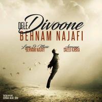 Behnam Najafi Dele Divoone