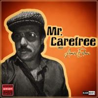 Amir Erfani Mr Carefree