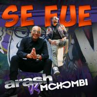 Arash Se Fue (Ft Mohombi) Consoul Trainin Remix