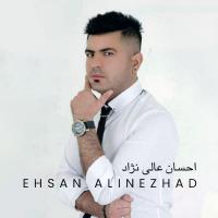 Ehsan Alinezhad Parishouni