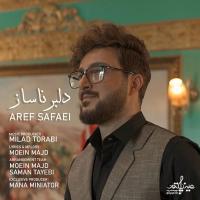 Aref Safaei Delbare Nasaz