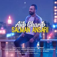 Salman Ansari Ajib Gharib