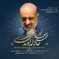 Mohammad Esfahani Hala Ke Umadi