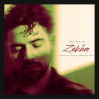 Shervin Hajipour Zakhm (Unplugged)