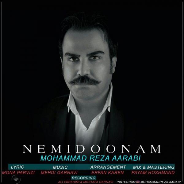 Mohammad Reza Aarabi Nemidoonam