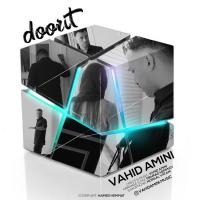 Vahid Amini Doorit