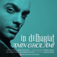 Amin Gholami In Delbariat