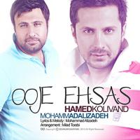 Mohammad Alizadeh Owje Ehsas (Ft Hamed Kolivand)