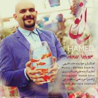 Hamed Faghihi Sale No