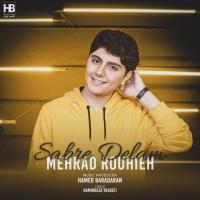 Mehrad Rouhieh Sabre Delam
