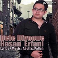 Hasan Erfani Dele Divoone