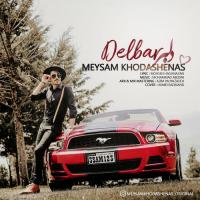 Meysam Khodashenas Delbar