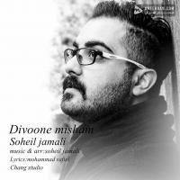 Soheil Jamali Divone Misham