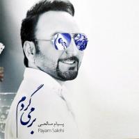 Payam Salehi Cheshmamo Mibandam