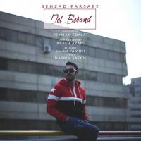 Behzad Parsaee Del Beband