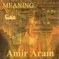 Amir Aram Mana