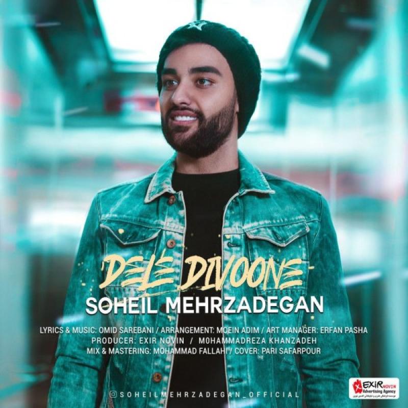 Soheil Mehrzadegan Dele Divoone