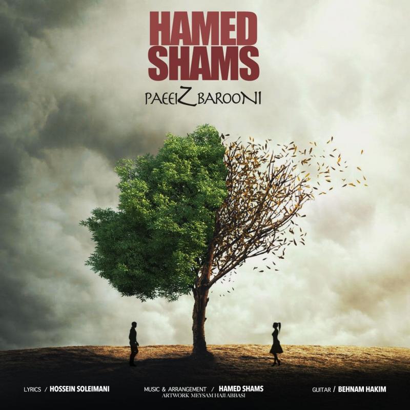 Hamed Shams Paeiz Barooni