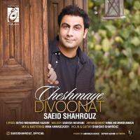 Saeid Shahrouz Cheshmaye Divoonat