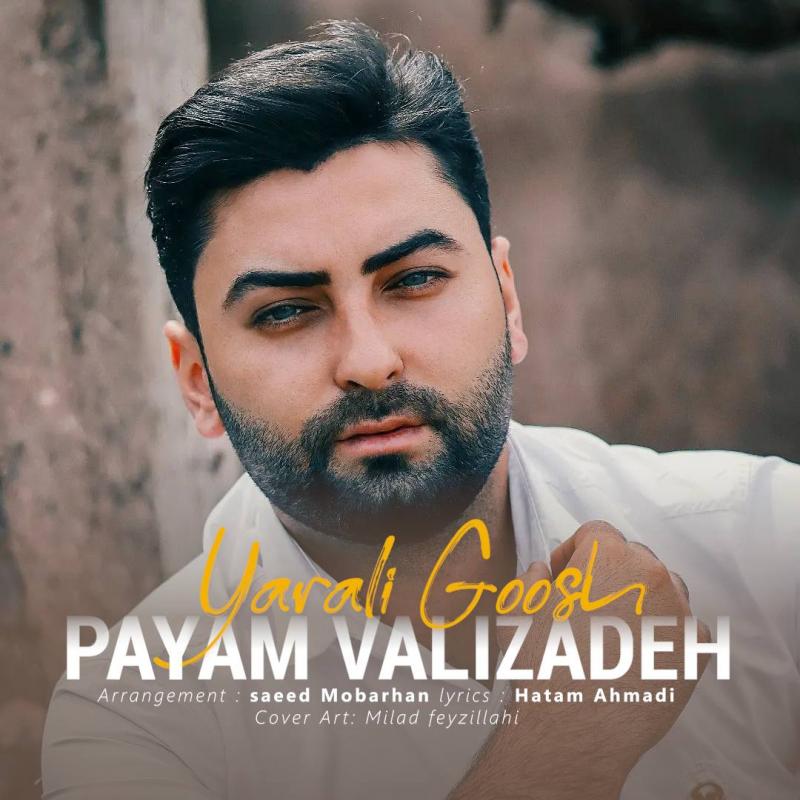 Payam Valizadeh Yarali Goosh