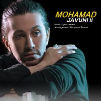 Mohammad Mohebian Javuni 2