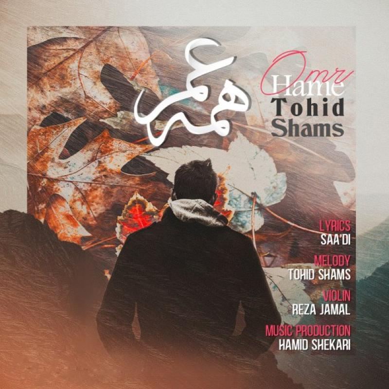 Tohid Shams