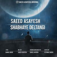 Saeed Asayesh Shabhaye Deltangi