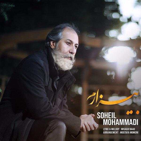 Soheil Mohammadi Bizaram