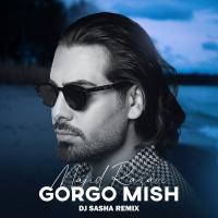 Majid Razavi Gorgo Mish (Dj Sasha Remix)