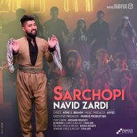 Navid Zardi Sarchopi