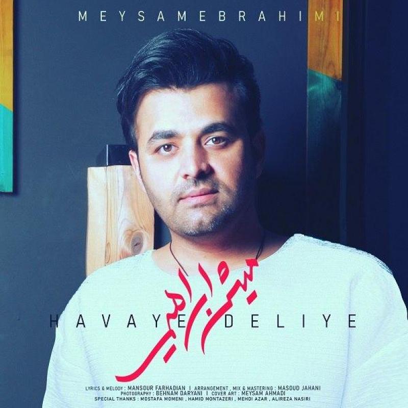 Meysam Ebrahimi Havaye Deliye