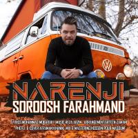 Soroosh Farahmand Narenji