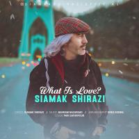 Siamak Shirazi What is Love