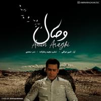 Amin Araghi Vesal