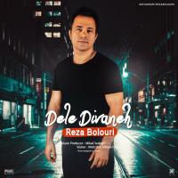 Reza Bolouri Dele Divaneh