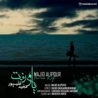 Majid Alipour Yaram Raft