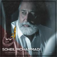 Soheil Mohammadi Khial